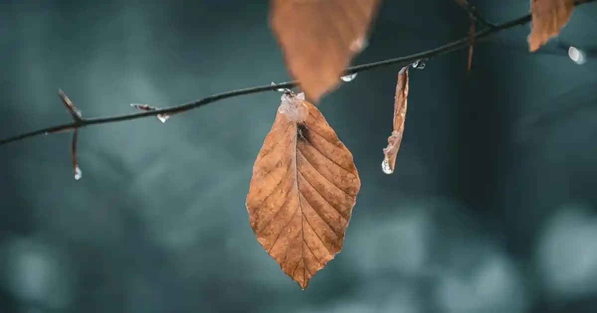 11-12 Yaş Çocuk Giyim Rehberi: Trendler, Konfor ve Stil İpuçları