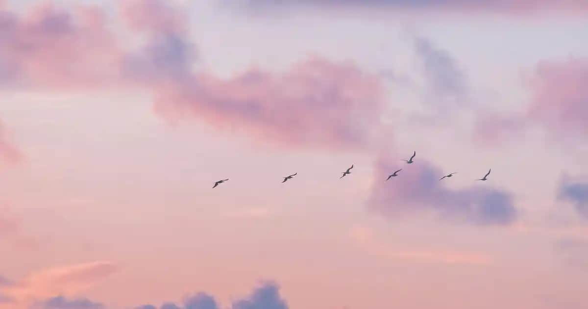 Ayıcıklı Kazak Modelleri ve Trendleri: Güncel Sevimli ve Şık Kış Giyim Seçenekleri