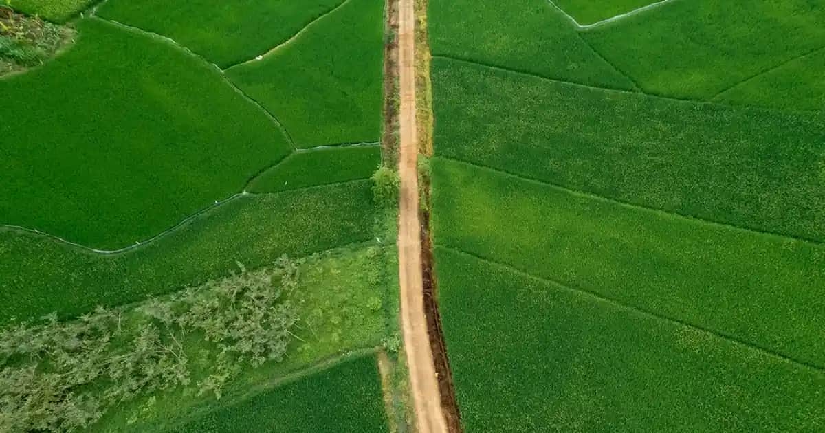 Baklava Desenli Kazaklar: Moda ve Konforu Bir Arada Sunan Güncel Trendler