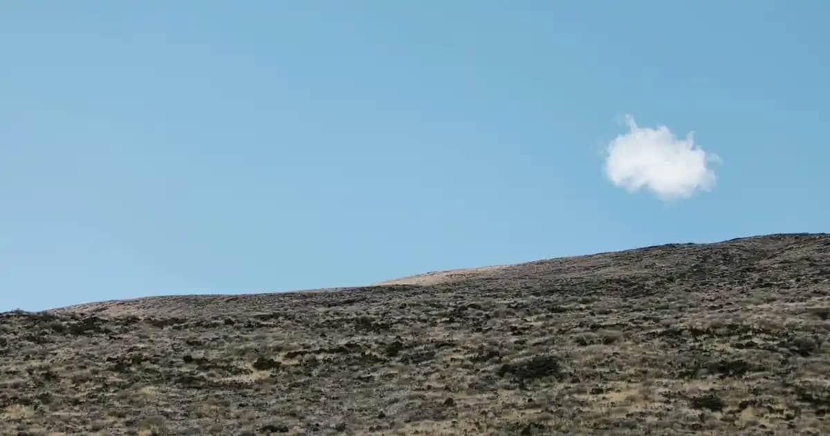 Baklava Desenli Kazaklar: Modern ve Geleneksel Tarzın Şık Buluşması