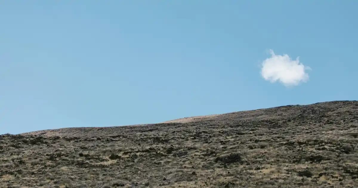 Baklava Desenli Kazaklar: Modern ve Geleneksel Tarzın Şık Buluşması