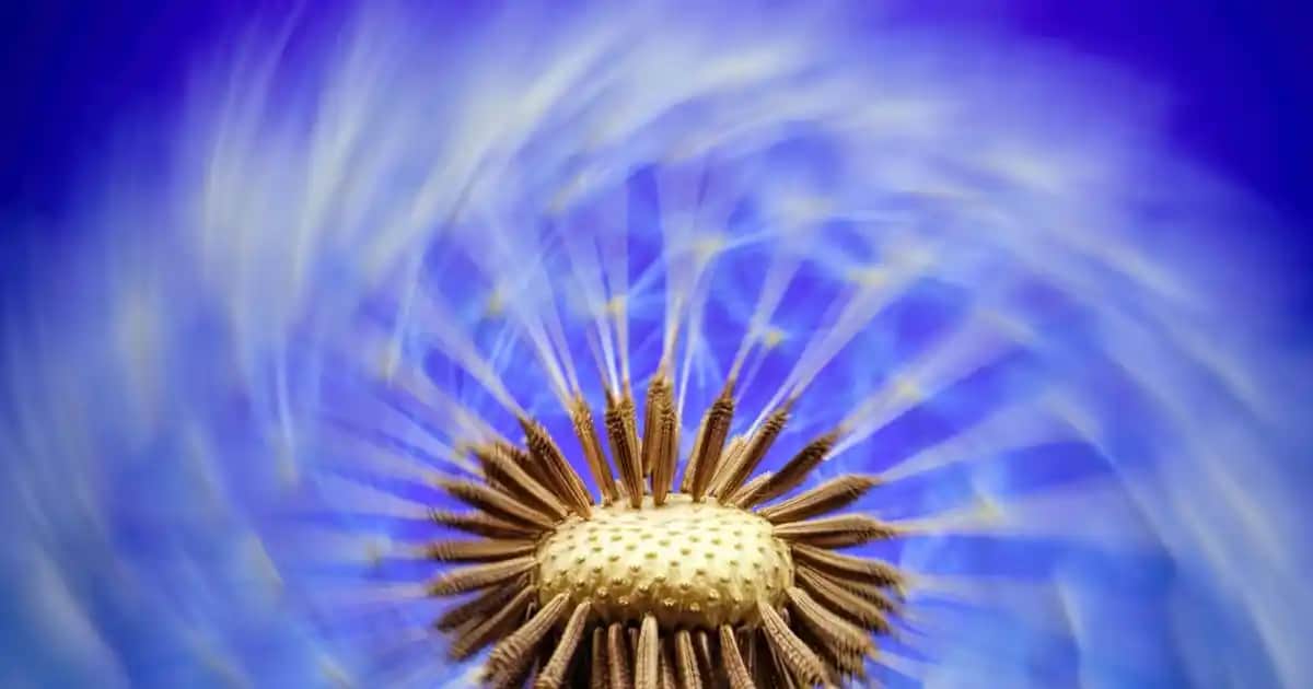 Beyaz Boğazlı Kazaklar: Kış Gardırobunun Temel Parçası ve Stil İpuçları