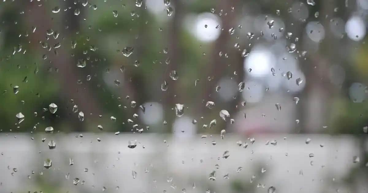 Beyaz Boyunlu Kazak Modelleri ve Kombin Önerileri ile Şıklığınızı Yükseltin