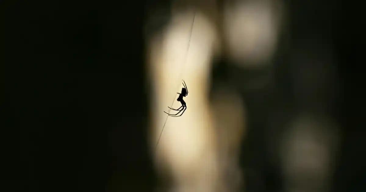 Beyaz Kazak Modası ve Kombin İpuçlarıyla Stilinizde Fark Yaratın