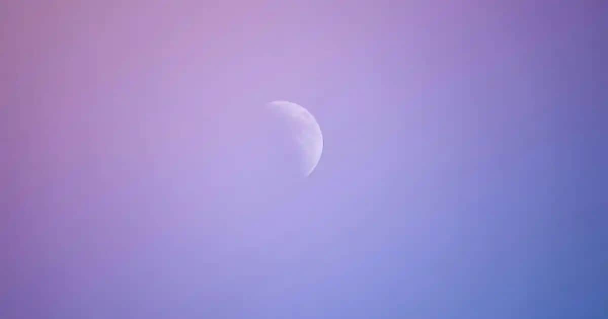 Beyaz Spor Şort Seçimi ve Moda Trendleri: Rahatlık ve Şıklığın Birleşimi