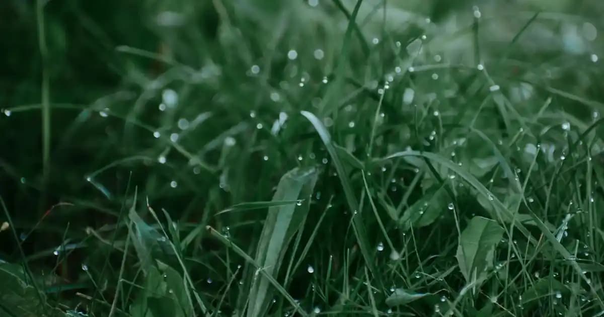 Beyaz Wide Leg Jean Modelleriyle Şıklık ve Rahatlığı Bir Arada Yakalayın