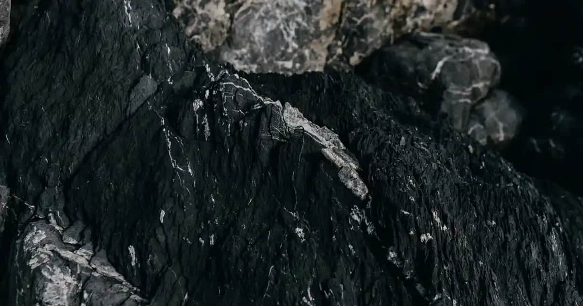 Denim Bluz Modası: Rahatlık ve Şıklığın Buluştuğu Güncel Trendler ve Kombin Önerileri