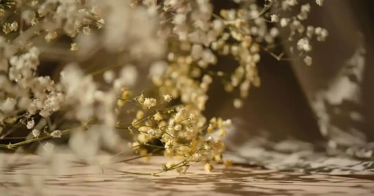 Denim Gömlek Modası ve Stil İpuçları: Güncel Trendler ve Kombinasyonlar