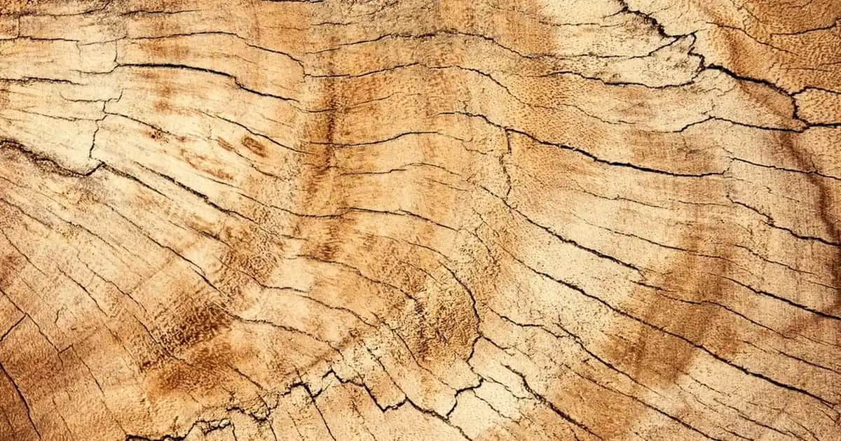 Denim Midi Etekler: Günlük ve Şık Kombinler İçin Modern Moda Rehberi