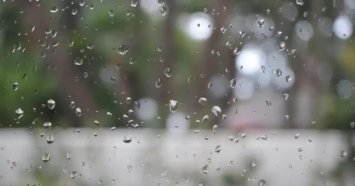 Elbise Üstü Yelek Modelleri ve Trendleri 2025 Yılında Şıklık ve Rahatlık Sağlar