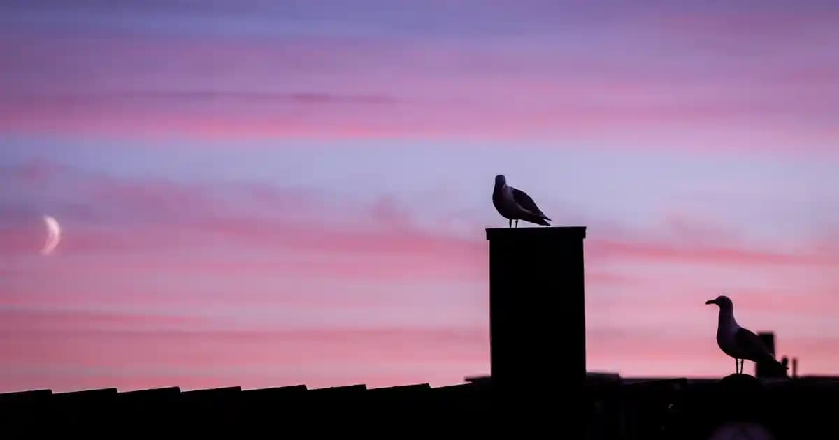 Erkek Beyaz Kazak Modelleri ve Kombinasyon Önerileri Kış Gardırobunun Vazgeçilmezi