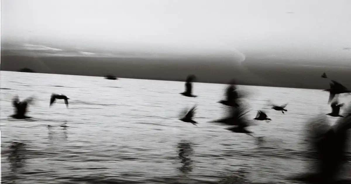 Erkek Bol Kot Pantolonlar: Rahat ve Şık Bir Tarz İçin Güncel Moda Rehberi