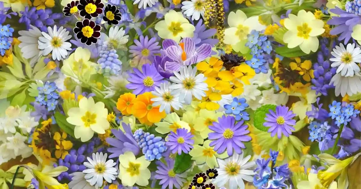 Erkek Çocuk Boxer Modelleri: Rahatlık ve Şıklık Sunan Güncel Trendler ve Seçim Rehberi