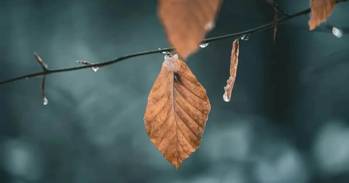 Erkek Ham Keten Pantolonları: Doğal Şıklık ve Konforun Modern Buluşması