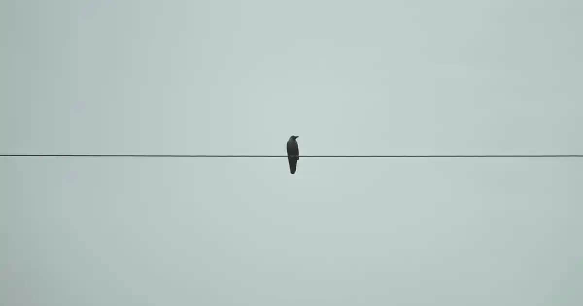 Erkek Kazak ve Sweatshirt Modelleri: Güncel Trendler ve Stil Önerileri