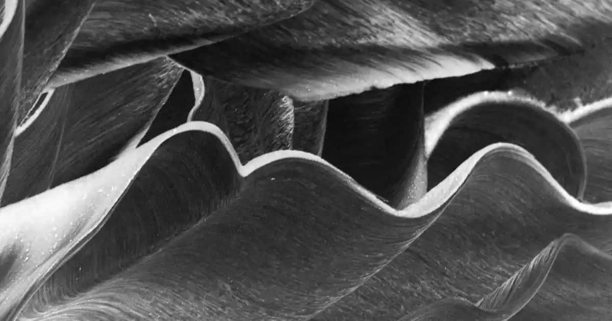 Erkek Kısa Şort Modelleri ve Stil İpuçlarıyla Yazın Rahatlığı ve Şıklığı