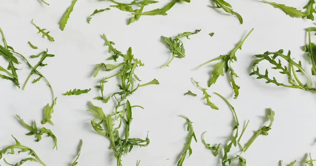 Erkek Kot Pantolonları: Stil ve Konforun Birleştiği En İyi Seçenekler Hakkında Kapsamlı Rehber