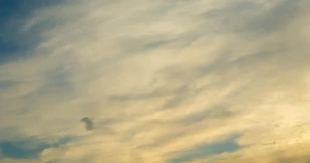 Erkek Yarım Fermuarlı Sweatshirtler: Şıklık ve Konforun Modern Buluşması