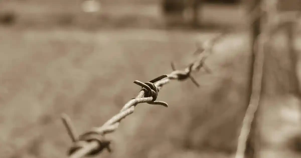 Erkekler İçin Bisiklet Yaka Kazaklar: Şıklık ve Konforun Modern Buluşması