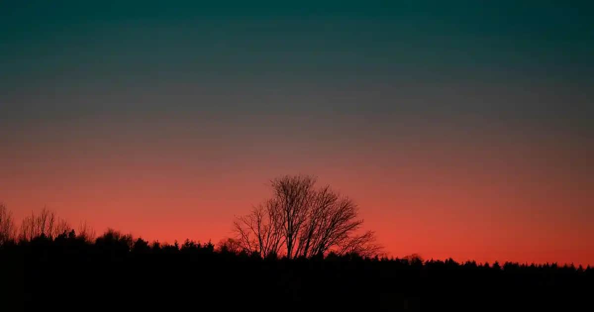 Erkekler İçin Örgü Kazak Modelleri ve Trendler: Kış Şıklığı ve Konforu İçin Rehber