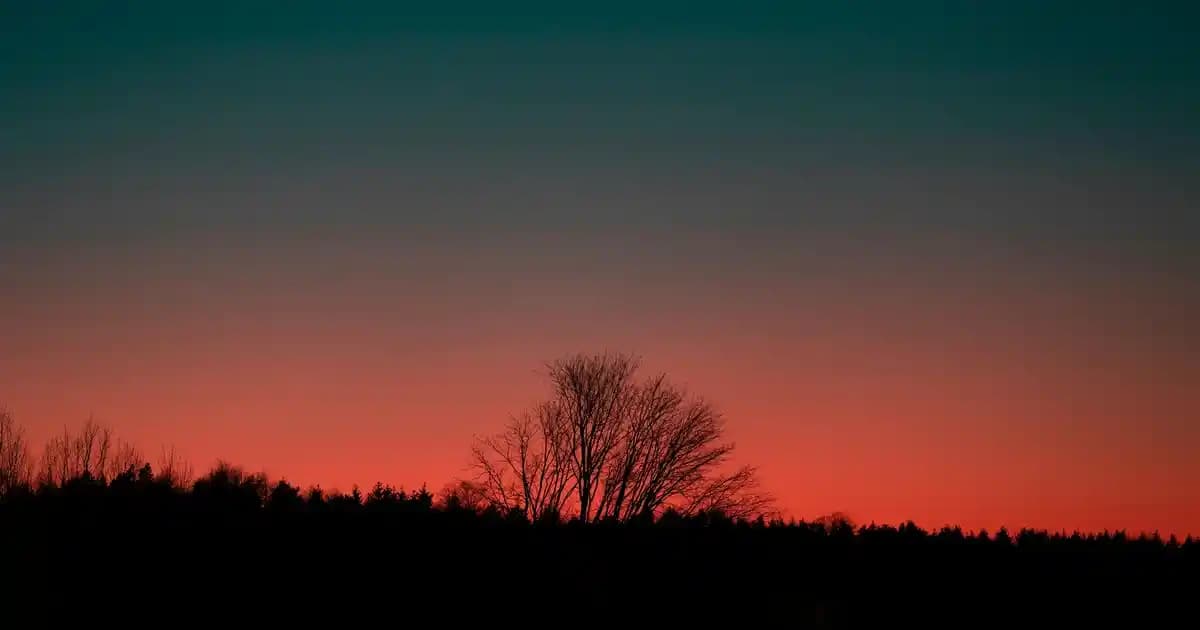 Erkekler İçin Örgü Kazak Modelleri ve Trendler: Kış Şıklığı ve Konforu İçin Rehber