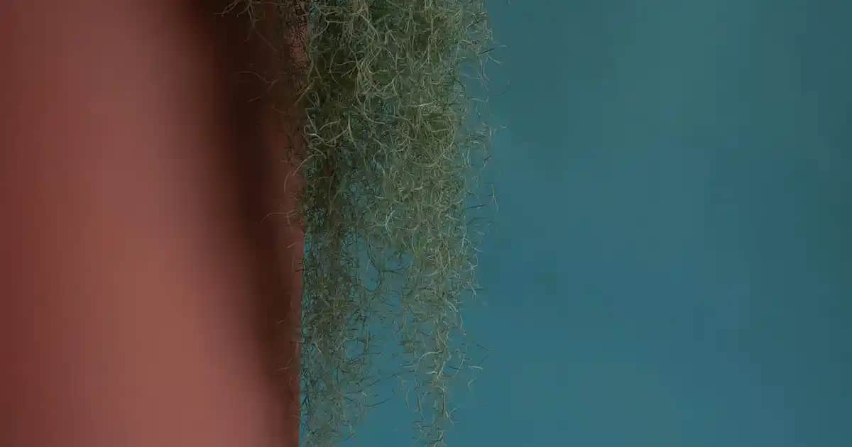 Fıstık Yeşili Erkek Sweatshirtler: Renkli ve Rahat Giyim Trendleri 2024