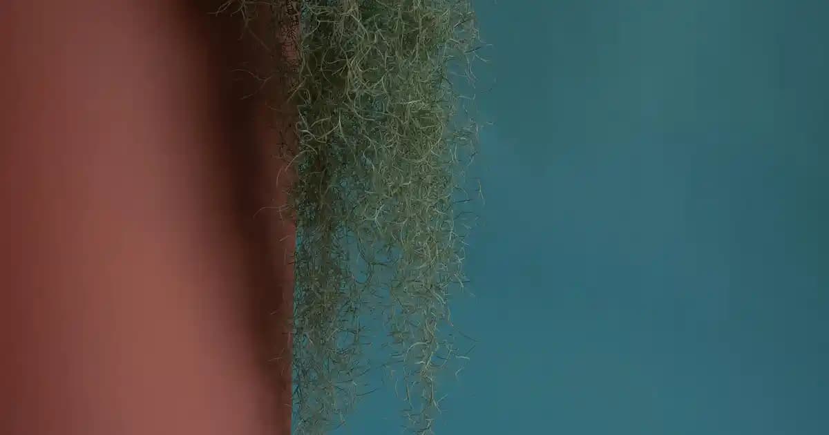 Fıstık Yeşili Erkek Sweatshirtler: Renkli ve Rahat Giyim Trendleri 2024