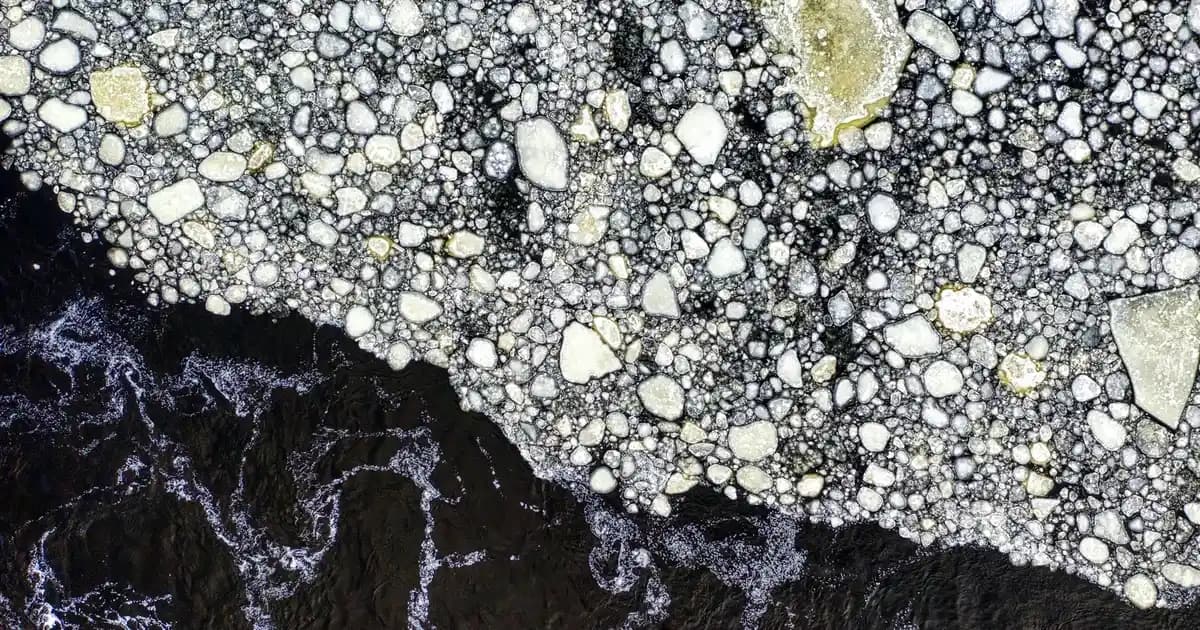 Gri Yakalı Tişörtler: Çok Yönlü ve Şık Giyim Parçası Seçenekleri