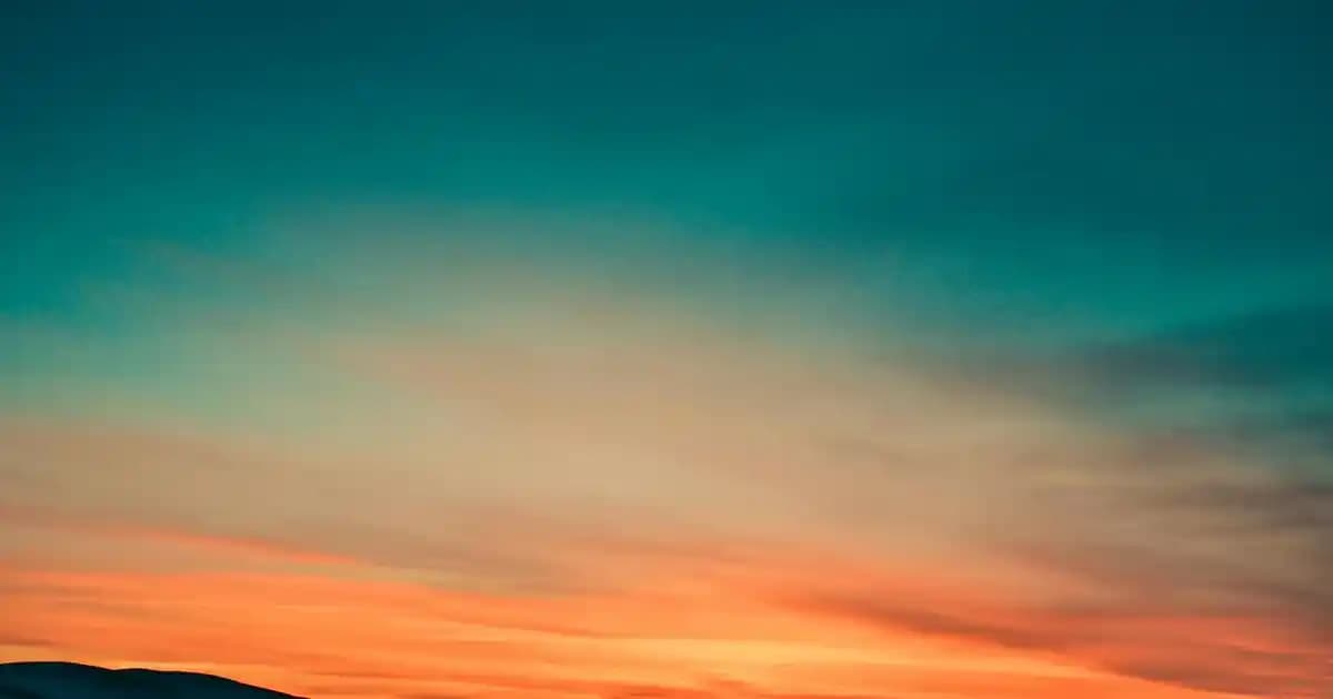 Jaws Tişörtleri: Sinema Tutkunlarının Gardrobunda Unutulmaz Bir İkonik Parça