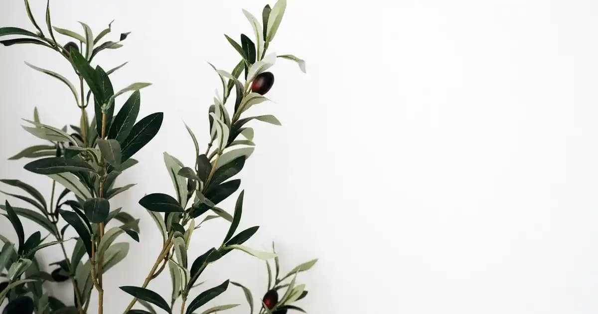 Kadın Çorap Çizme Modelleri ve Stil İpuçları: Trendler ve Kombinasyonlar