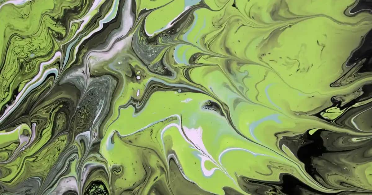 Kadın Kaşmir Kazaklar: Şıklık ve Konforu Bir Arada Sunan Yüksek Kalite Seçenekleri