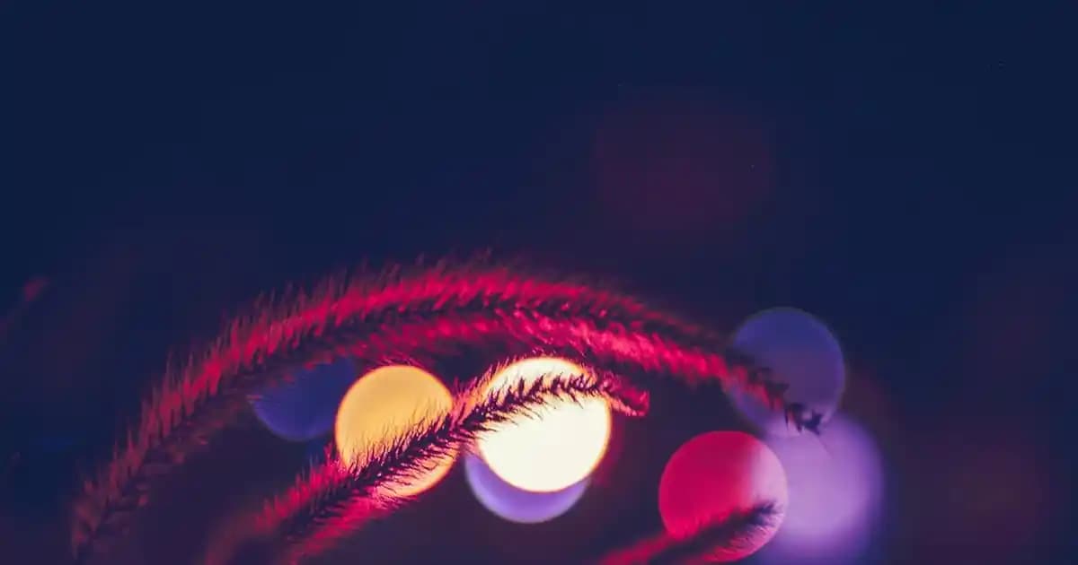 2025'te Kadın Kot Gömleklerle Şıklık ve Rahatlığın 5 Sırrı