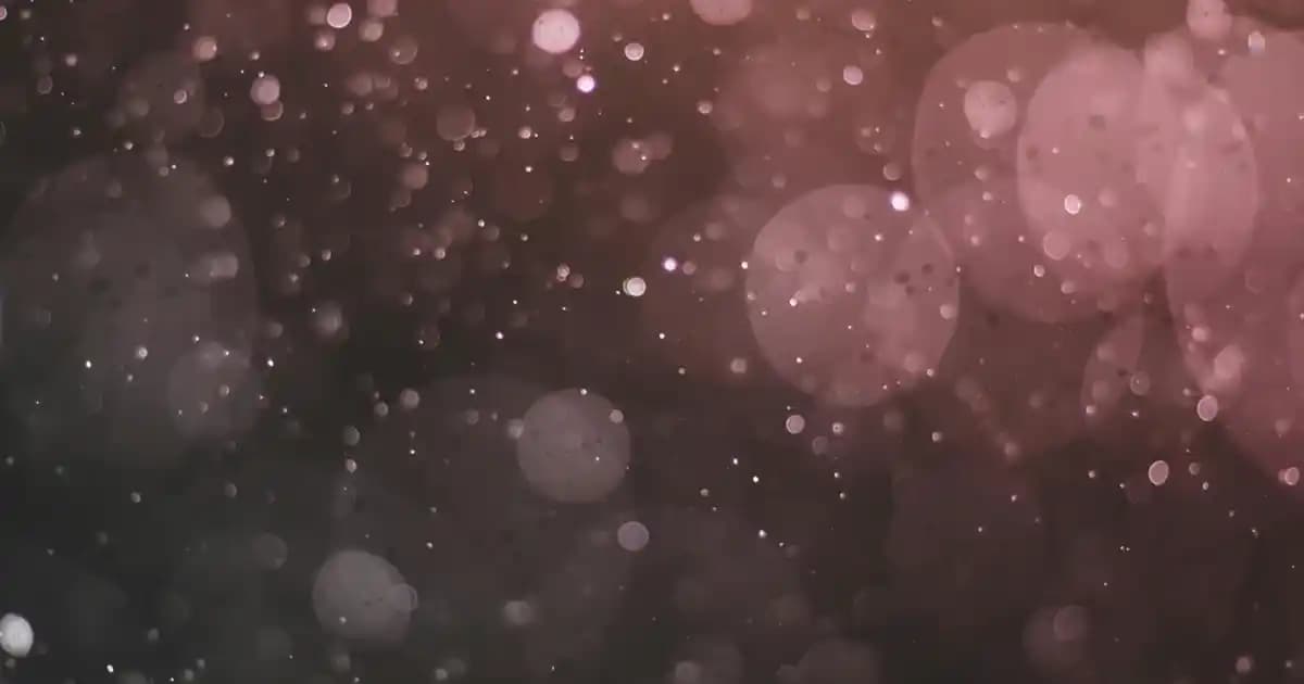 Kadın Siyah Kumaş Pantolonları: Şık ve Çok Yönlü Modellerle Tarzınızı Yaratın