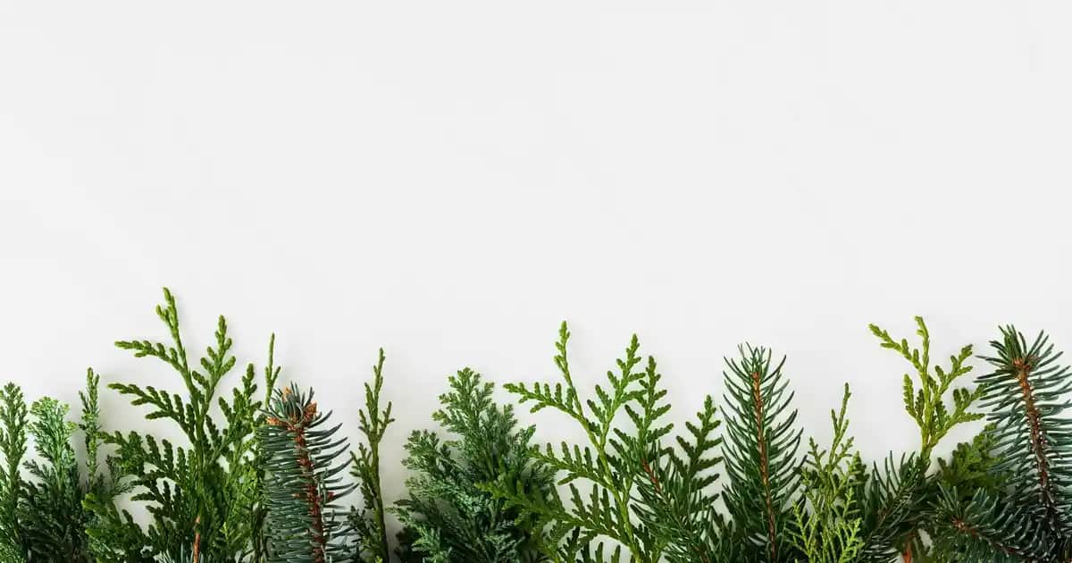 Kadın Wide Leg Jean Modelleri ve Kombin Önerileri 2023 Trendleri