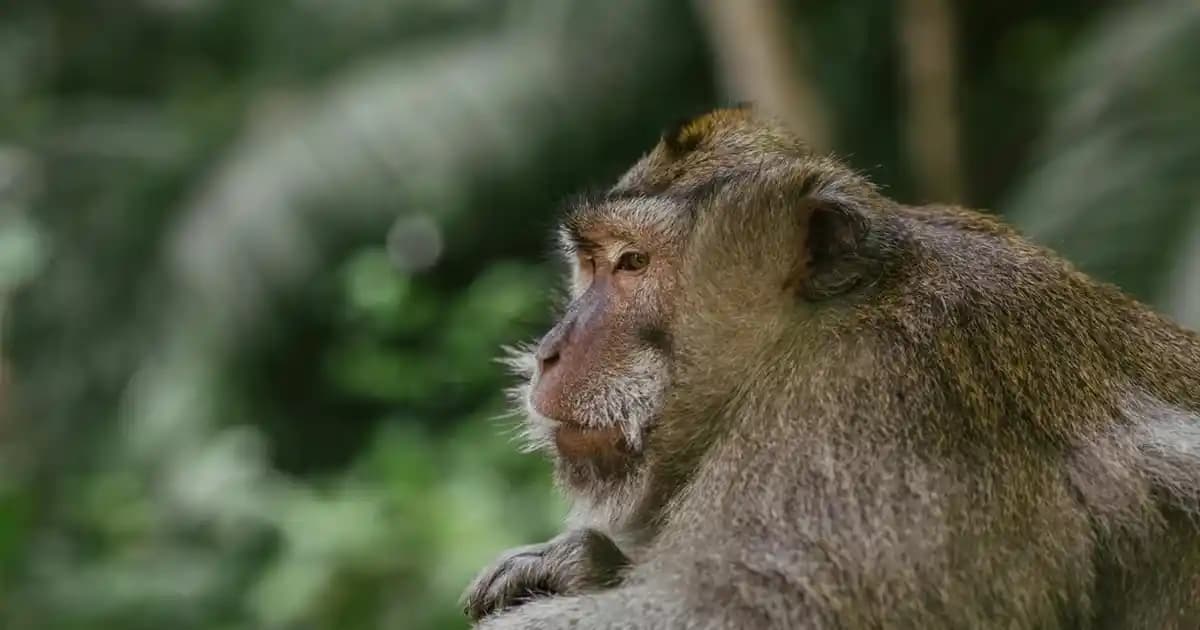Kadınlar İçin Çizgili Kazak Modelleri: Şıklık ve Konforun Buluştuğu Seçenekler
