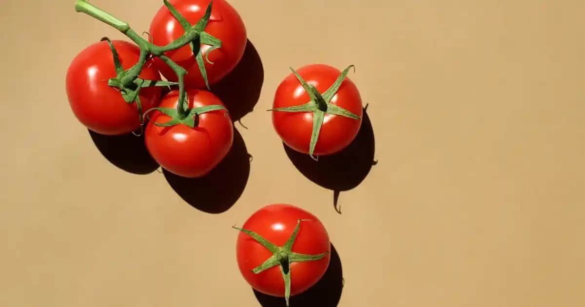 Kadınlar İçin Yırtık Kot Modası: Günlük ve Şık Kombinler İçin Trend Rehberi