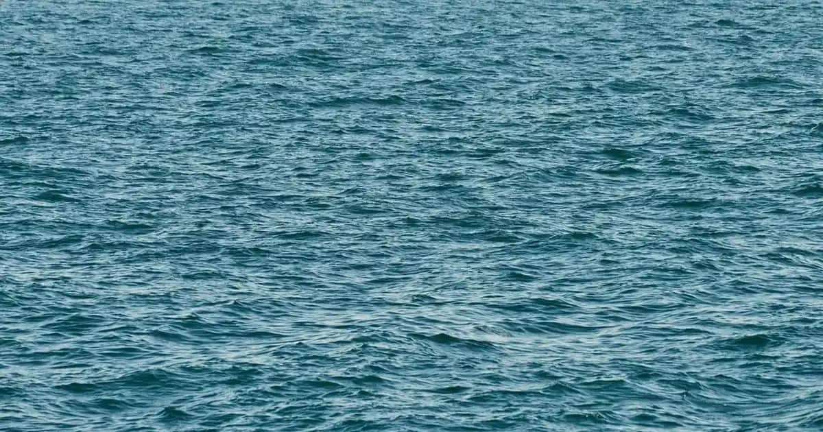 Kaliteli Erkek Kazak Seçiminde Dikkat Edilmesi Gerekenler ve En İyi Markalar