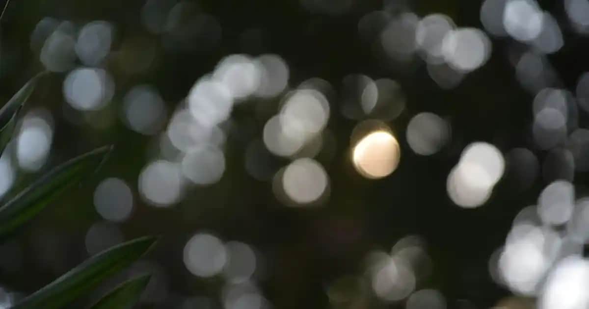 Kazak Sıkışması ve Modern Trendler: Rahat ve Şık Giyim İçin İpuçları