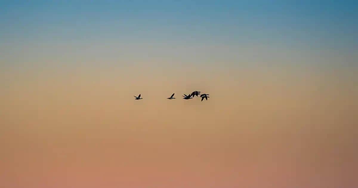 Kazak Trendleri 2024: Modern ve Şık Crop Kazak Modelleri ve Kombin İpuçları