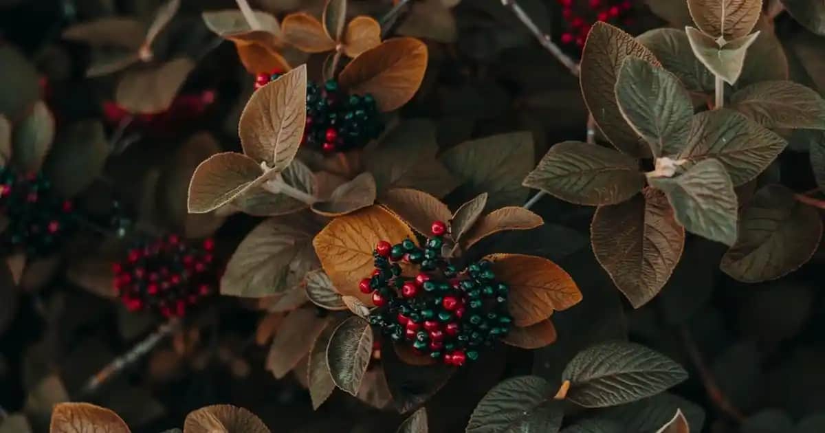 Kışlık Bayan Kazak Modelleri: Sıcak ve Şık Tasarımlarla Kışa Hazırlık