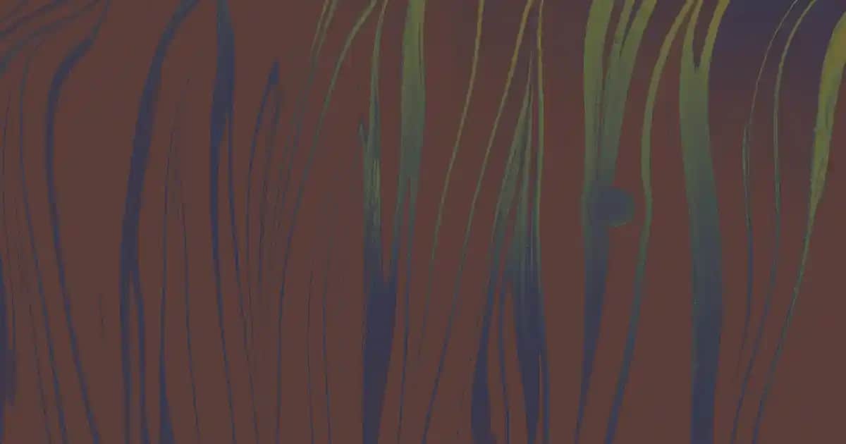 Koyu Yeşil Kazak Modelleri ve Stil İpuçları ile Şık ve Doğal Görünüm Yaratın