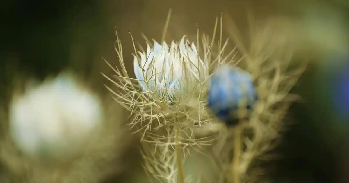 Mario Tişörtleri: Giyim Dünyasında Eğlence ve Stilin Buluştuğu Moda Seçenekleri