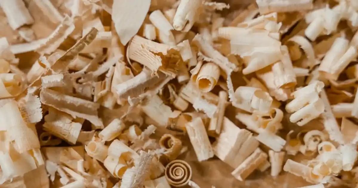 2025'te Mavi Jeans Tulumlarla Şıklık ve Rahatlıkta Yeni Dönem