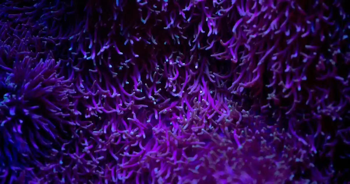 Mavi Kadın Kot Pantolonları: Güncel Modeller ve Stil Önerileri