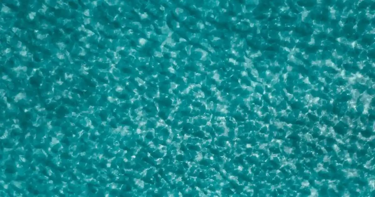 Merino Kazaklar: Doğal ve Şık Giyim Seçenekleriyle Günlük Stilinizde Fark Yaratın