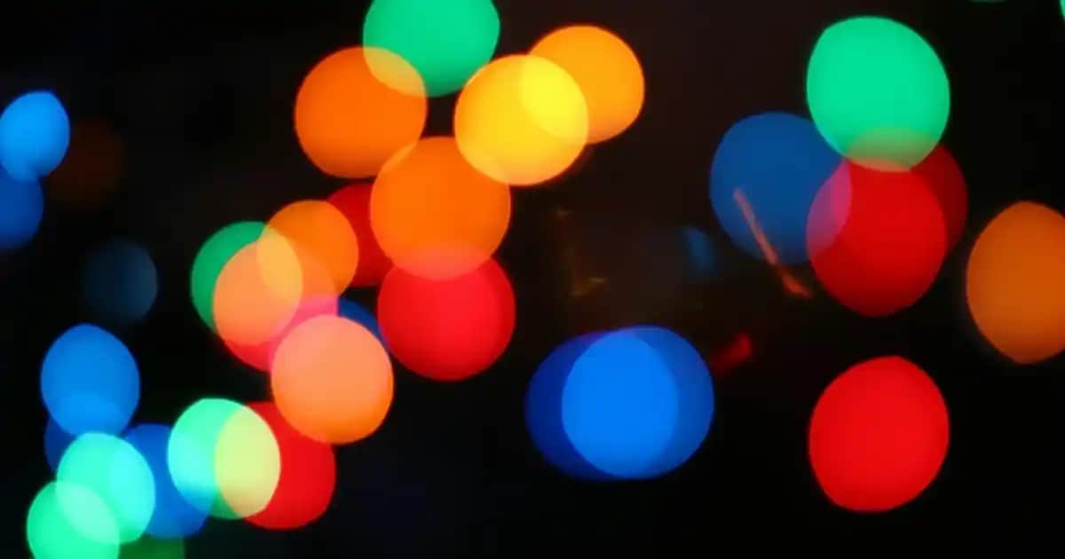 Mevsimlik Kadın Sweatshirt Modelleri: Trendler ve Kombin Önerileri