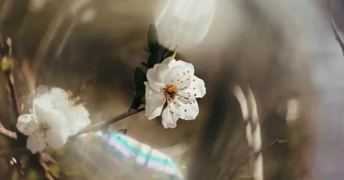 Örgü Crop Kazak Modelleri: Trendler, Yapım İpuçları ve Stil Önerileri