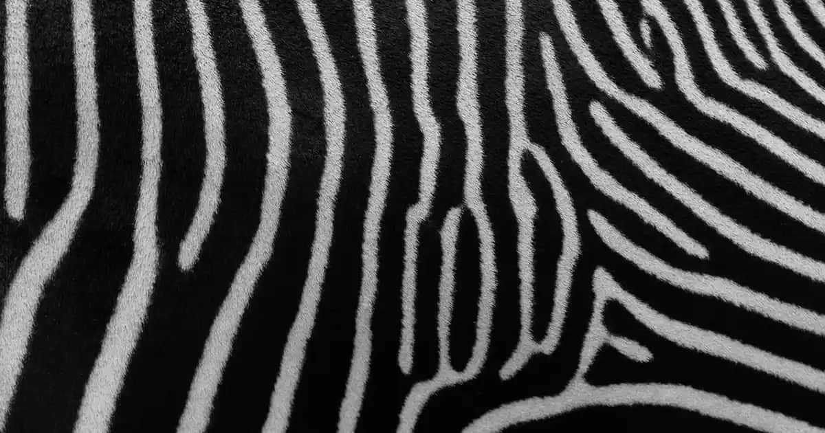 Örgü Triko Kazaklar: Günlük ve Şık Kullanım İçin Trend Modeller ve İpuçları