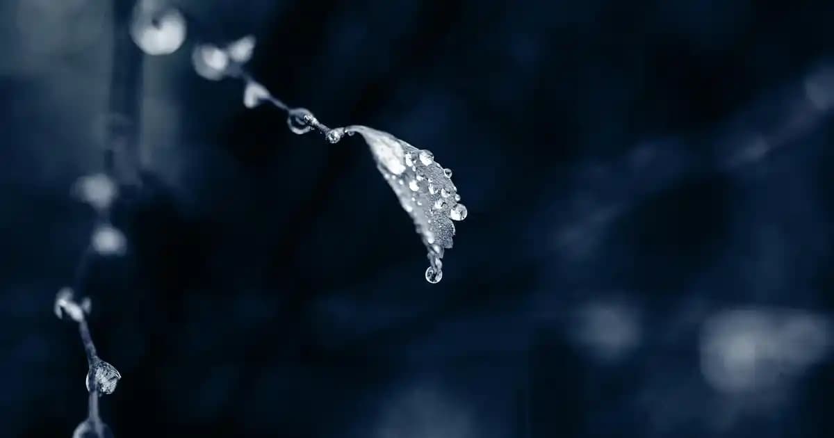 Oversize Siyah Kazaklar: Kış Modasında Rahatlık ve Şıklığın Buluşması