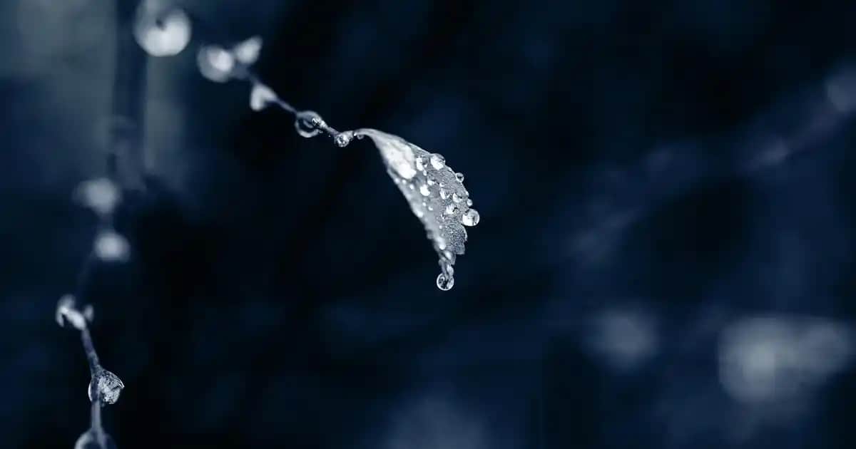 Regular Jean Nedir? Günlük ve Şık Kullanım için Temel Moda Parçası Tanımı